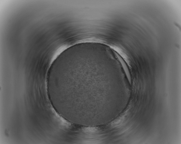 X0000096480998200801311552