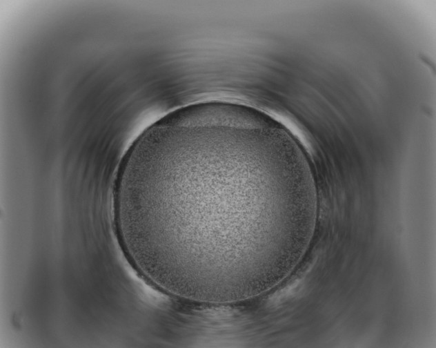 X0000096480999200801311552