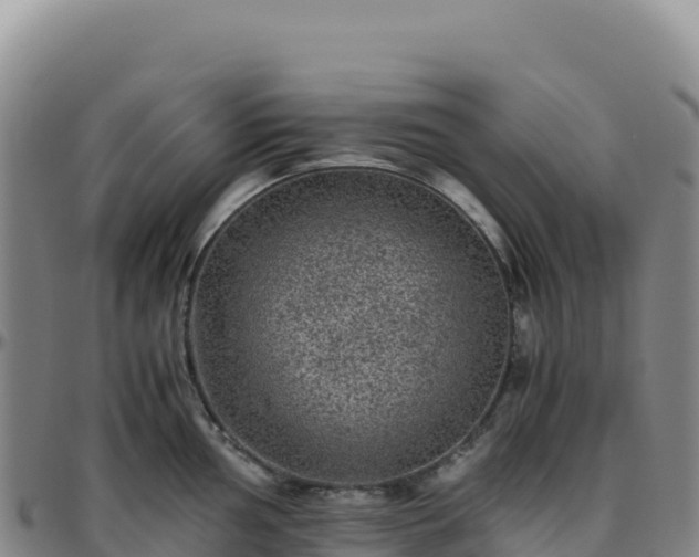 X0000096481002200801311552