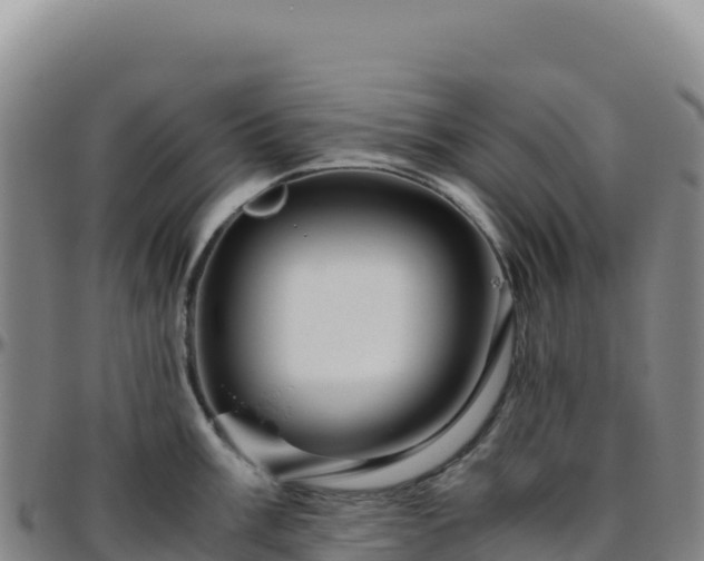 X0000096481003200801311552