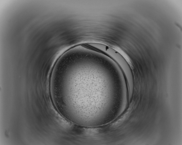 X0000096481004200801311552