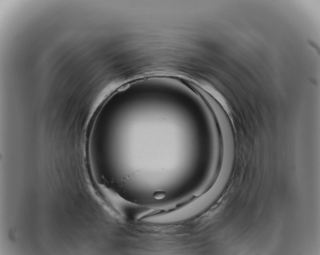 X0000096481005200801311552