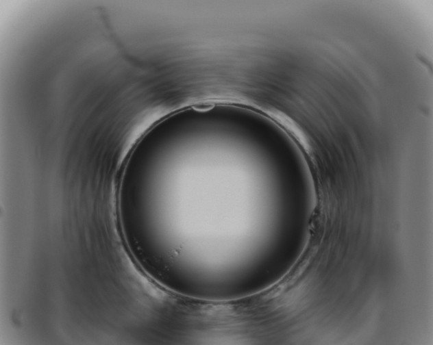 X0000096481006200801311552