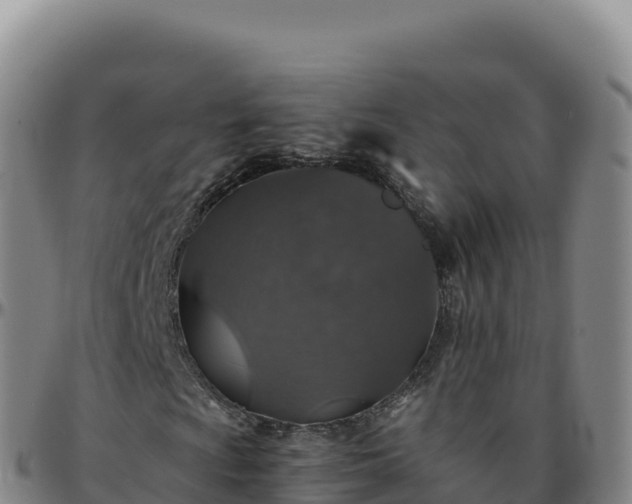 X0000096481009200801311551