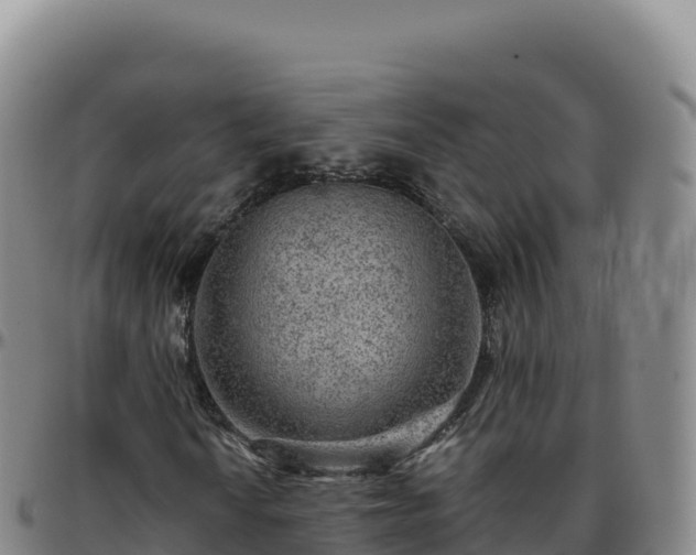 X0000096481010200801311551