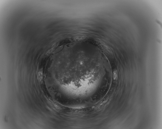 X0000096481011200801311551