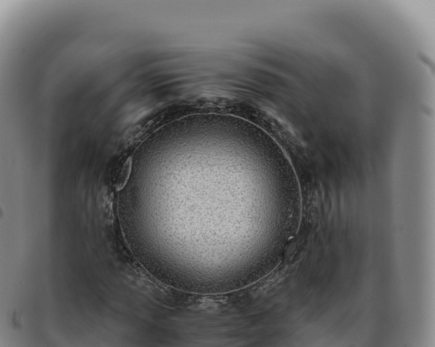 X0000096481013200801311551