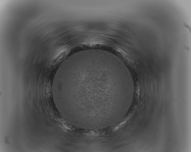 X0000096481014200801311551