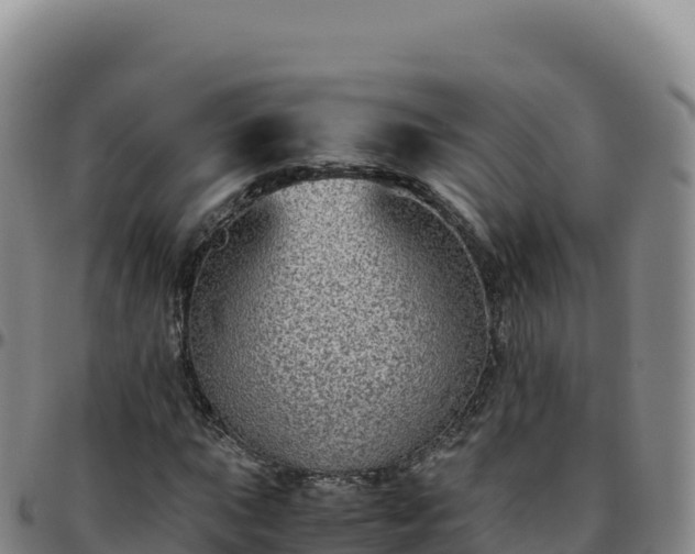 X0000096481015200801311551