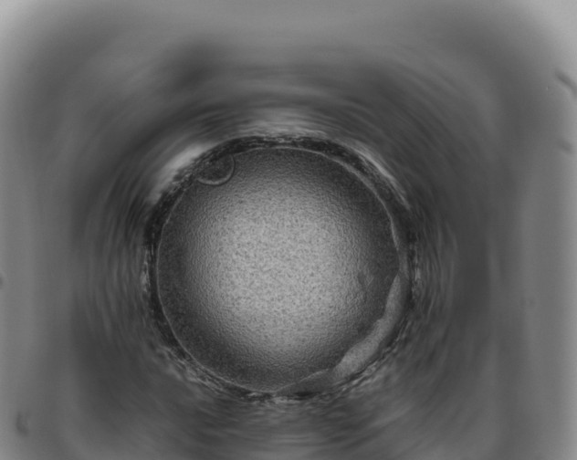 X0000096481016200801311551