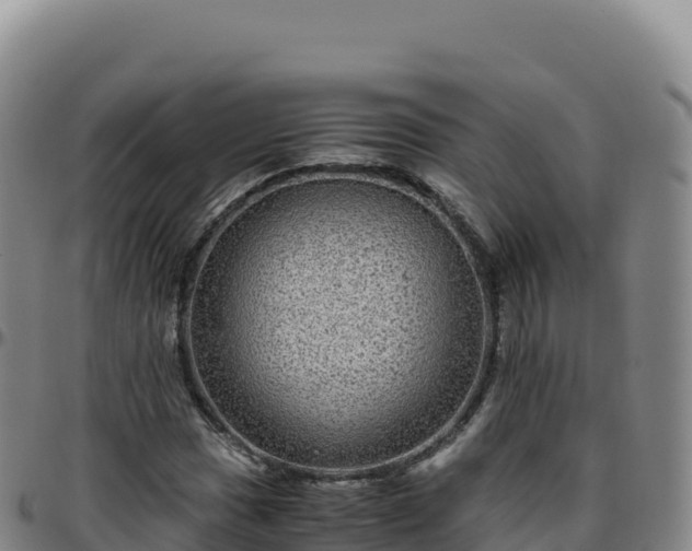 X0000096481017200801311551