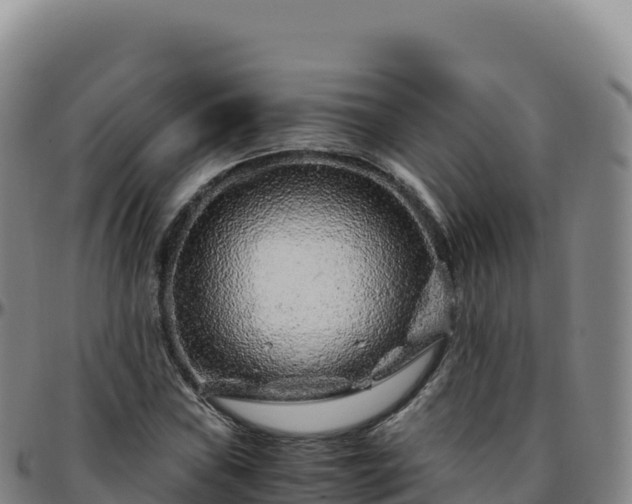 X0000096481019200801311551