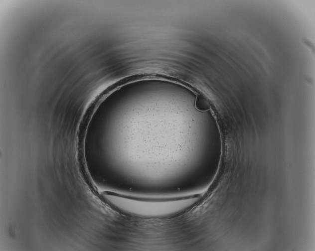 X0000096481020200801311551