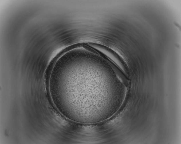 X0000096481022200801311551