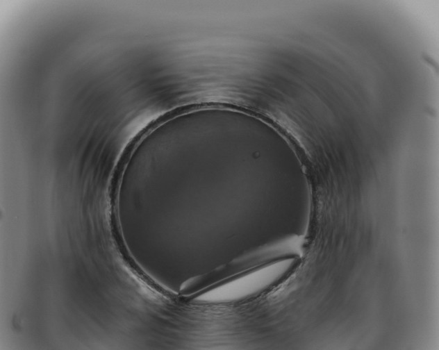 X0000096481024200801311551