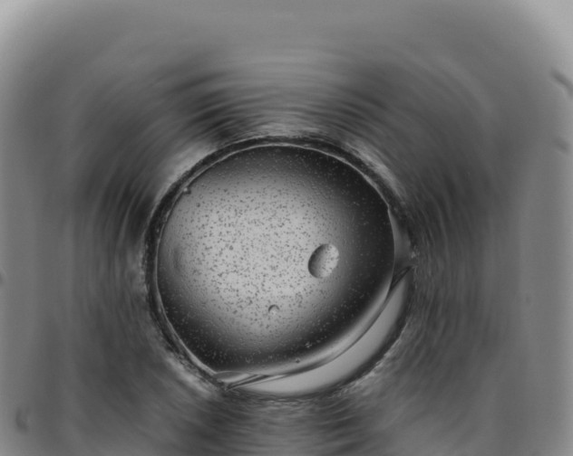 X0000096481026200801311551