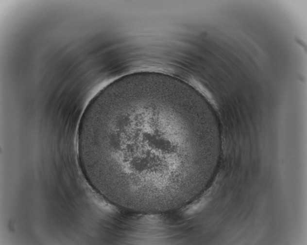 X0000096481028200801311551