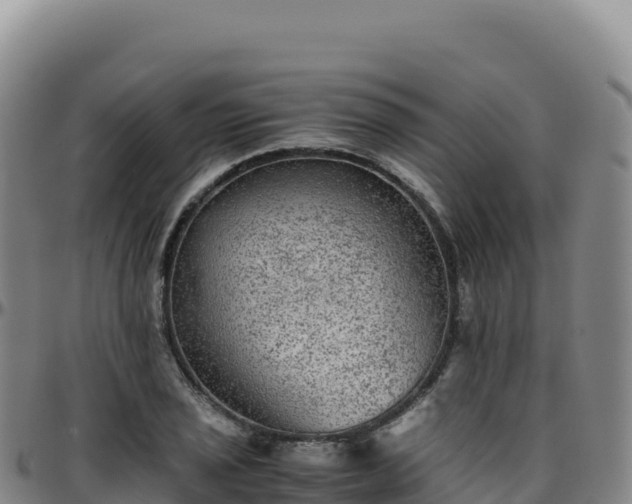 X0000096481029200801311552