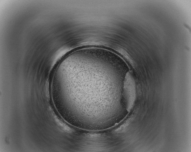 X0000096481030200801311552