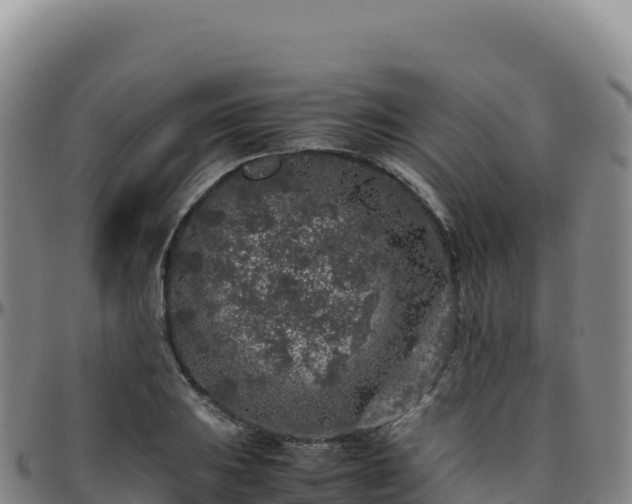 X0000096481031200801311552