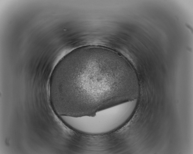 X0000096481032200801311552