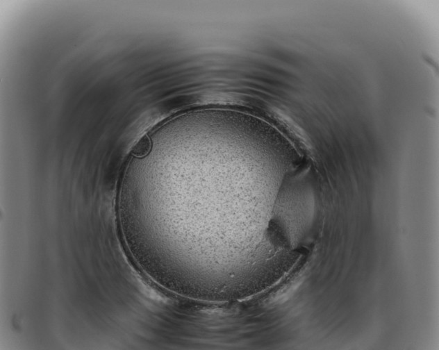 X0000096481033200801311552