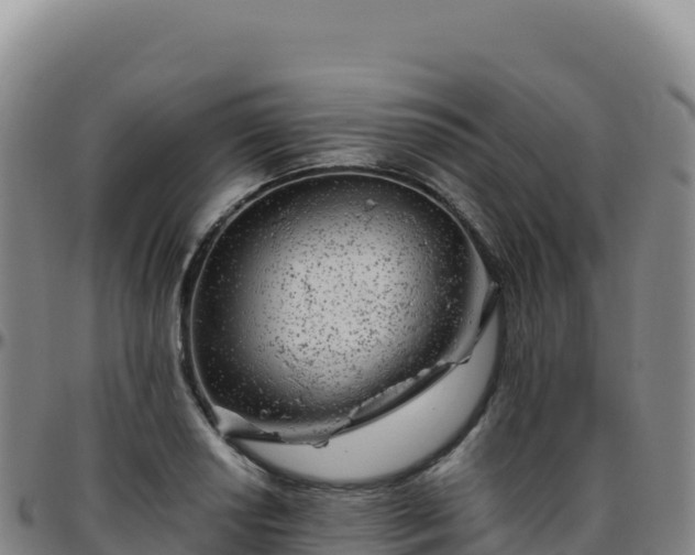 X0000096481034200801311552