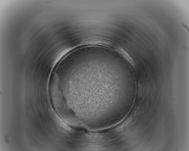 X0000096481036200801311552