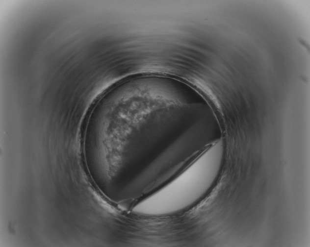 X0000096481037200801311552