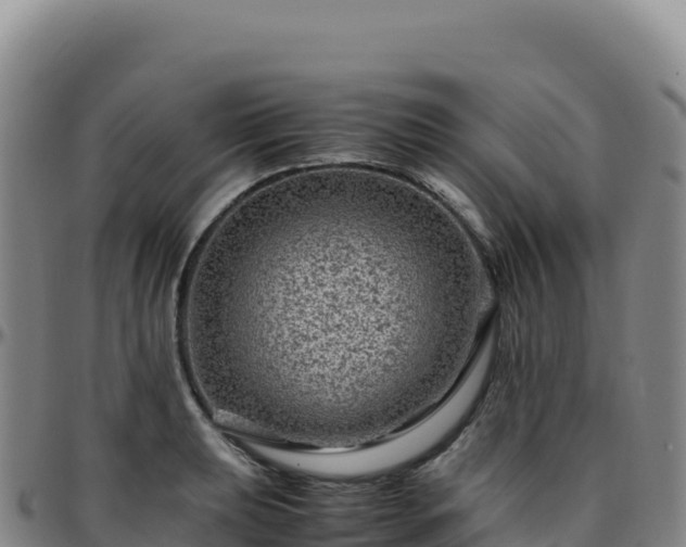 X0000096481039200801311552