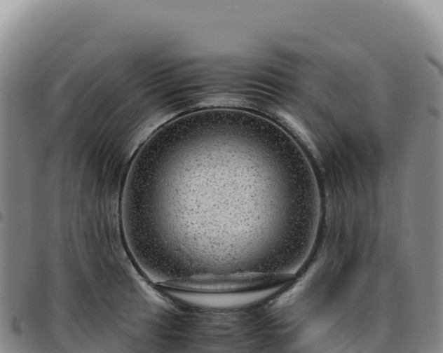 X0000096481041200801311552