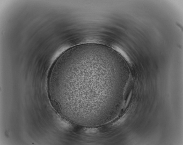 X0000096481043200801311552