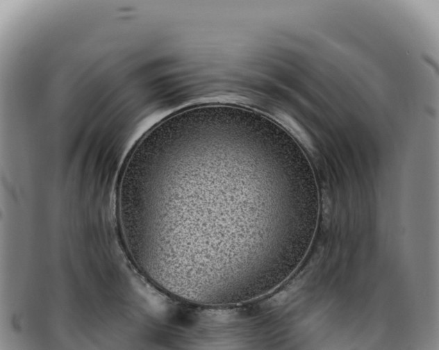 X0000096481044200801311552