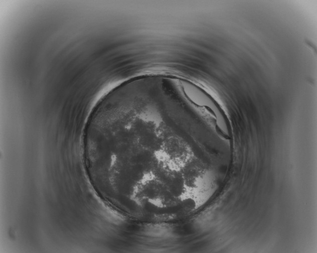 X0000096481045200801311552