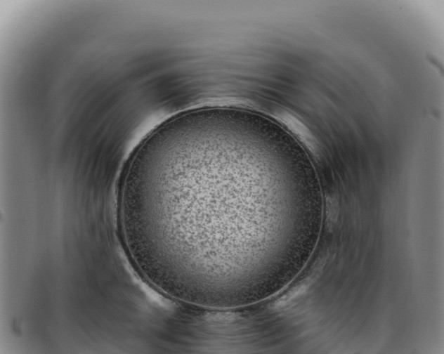 X0000096481046200801311552