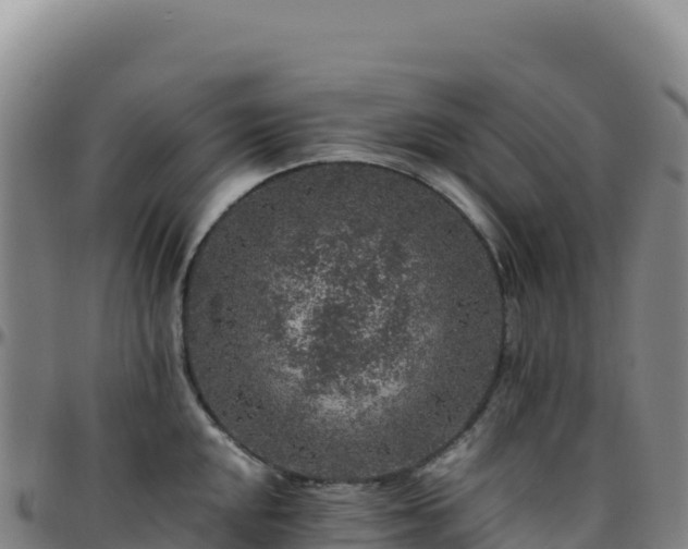 X0000096481048200801311552