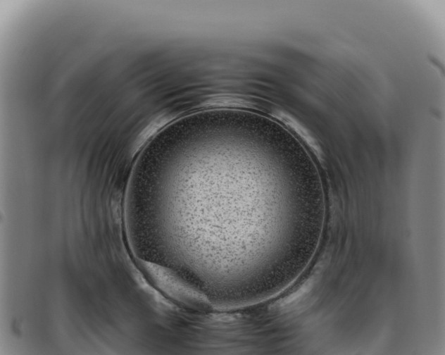 X0000096481049200801311552