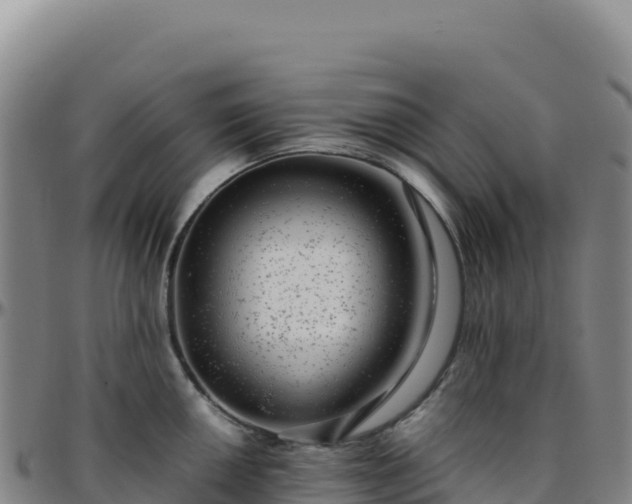 X0000096481050200801311552