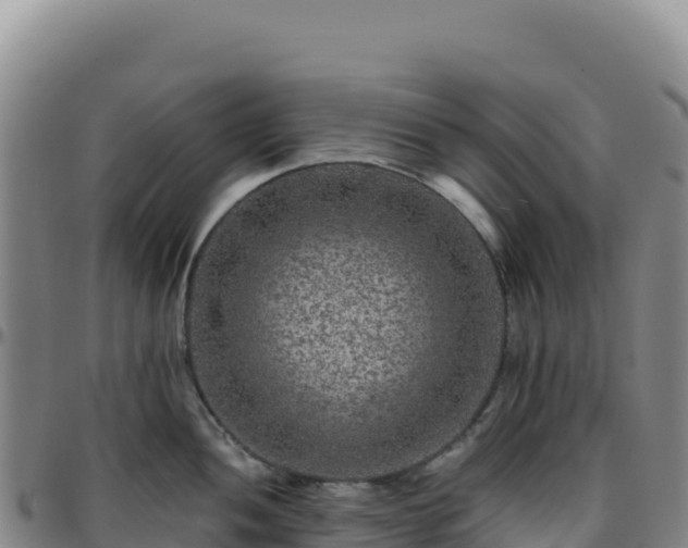 X0000096481052200801311552