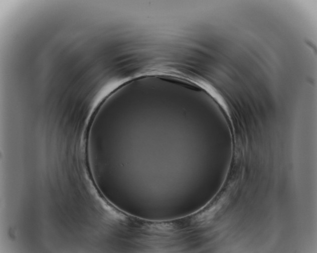 X0000096481053200801311552