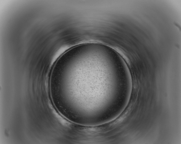 X0000096481054200801311552