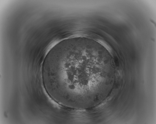 X0000096481055200801311552