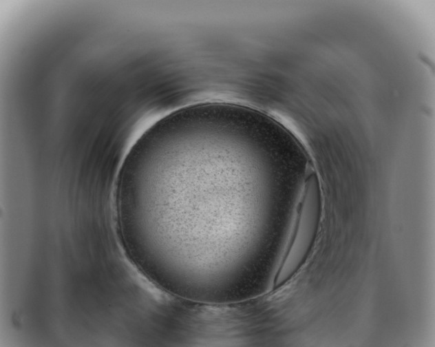 X0000096481056200801311552