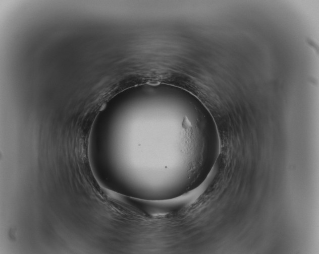 X0000096481058200801311551