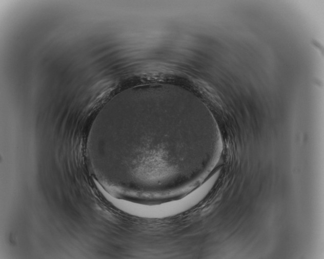 X0000096481060200801311551