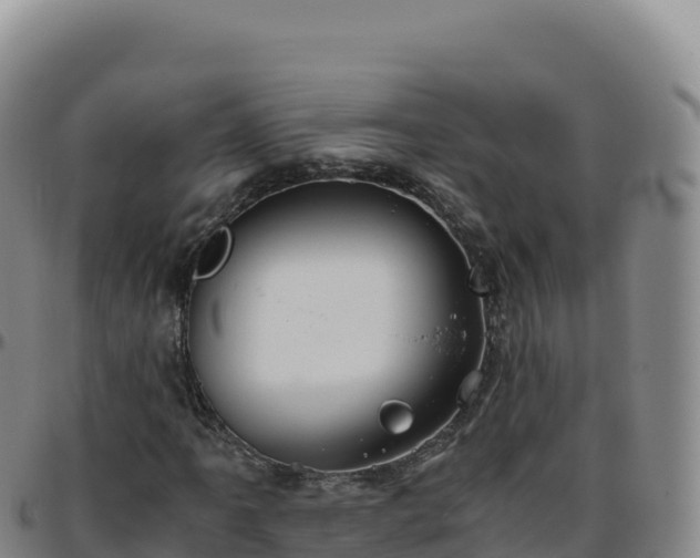 X0000096481061200801311551