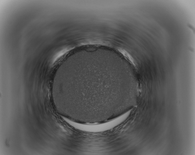 X0000096481064200801311551