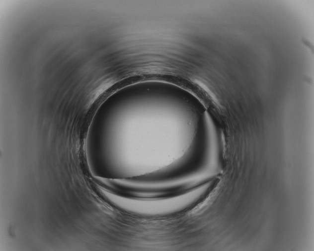 X0000096481065200801311551