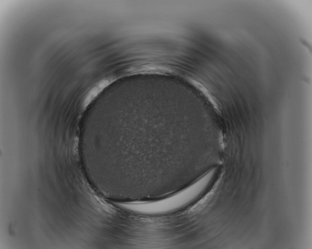 X0000096481066200801311551