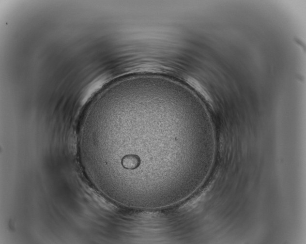 X0000096481067200801311551